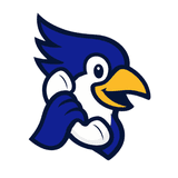 CallBird AI logo